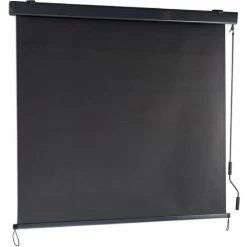 Relaxdays Senkrechtmarkise, 250 X 160 Cm, Sonnen- Und Sichtschutz, Balkon Und Terrasse, Außenrollo Mit Kurbel, Anthrazit